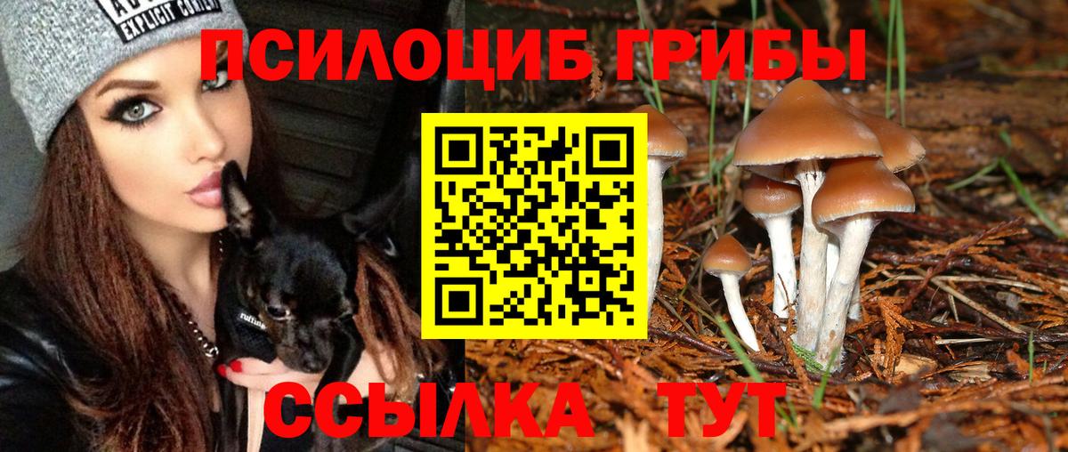 Дзержинск  Галлюциногенные грибы мицелий  Галлюциногенные грибы Psilocybe  Вход с VPN 
