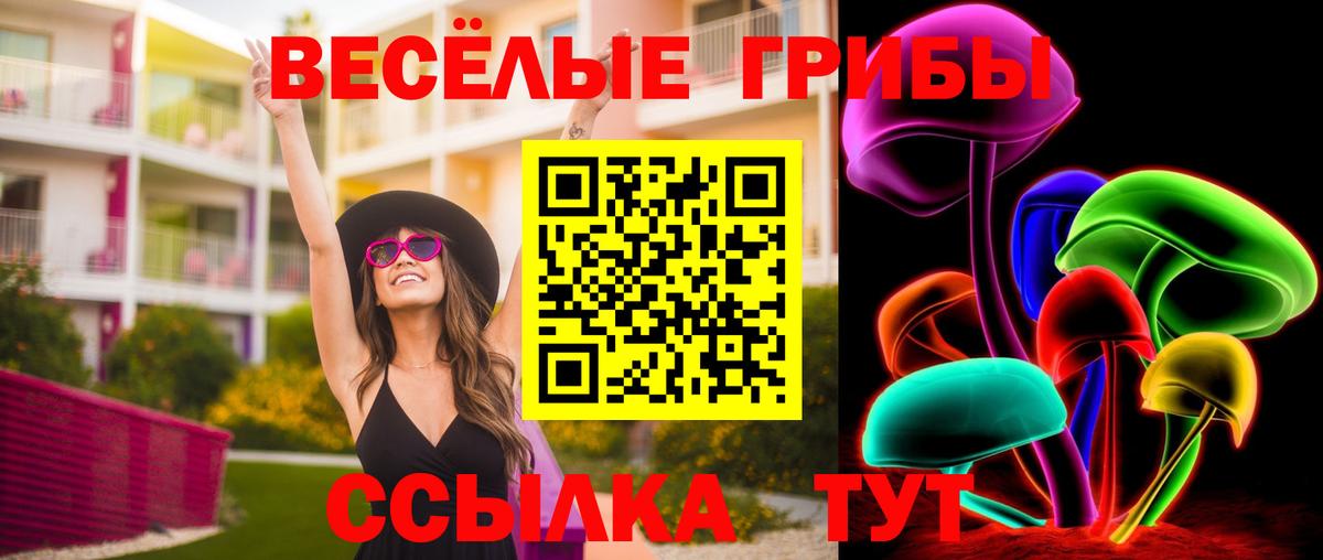 Галлюциногенные грибы Magic Shrooms Дзержинск